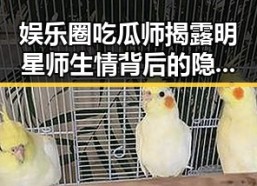 娱乐圈吃瓜师揭露明星师生情背后的隐藏秘密！🤫