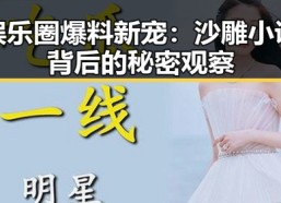 娱乐圈爆料新宠：沙雕小说背后的秘密观察