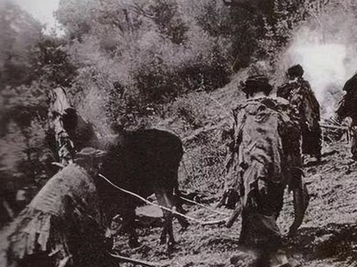 明星最新动态揭秘：幕后故事引发热议