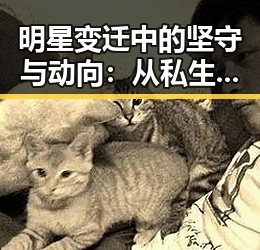 明星变迁中的坚守与动向：从私生活到公益的全景观察