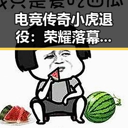 电竞传奇小虎退役:荣耀落幕背后隐藏的深意