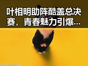 叶相明助阵酷盖总决赛，青春魅力引爆全场