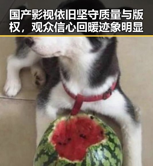 国产影视依旧坚守质量与版权,观众信心回暖迹象明显