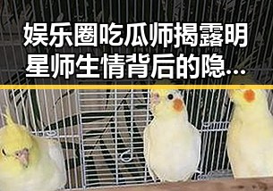 娱乐圈吃瓜师揭露明星师生情背后的隐藏秘密!🤫